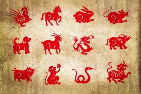 Животные китайского календаря