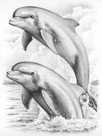 Дельфин мультяшный