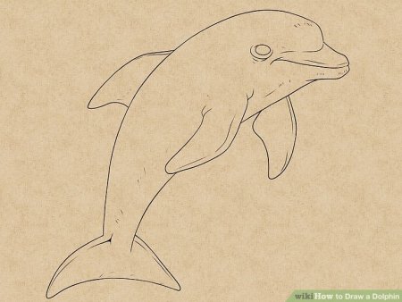 Дельфин трафарет