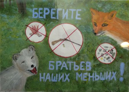 Плакат охрана животных