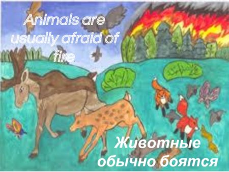 Экологический плакат земля наш общий дом