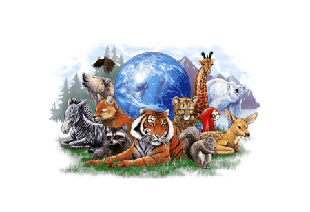 Плакат охрана животных