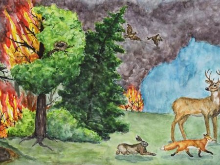 Защита животных