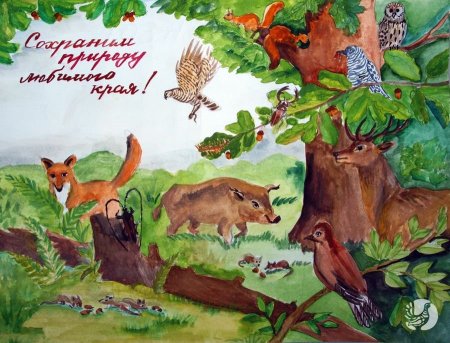 Заповедник Брянский лес рисунок