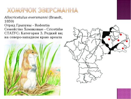 Красная книга Ульяновской области животных