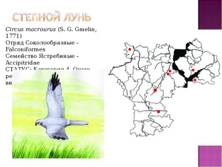 Красная книга Ульяновской области животных