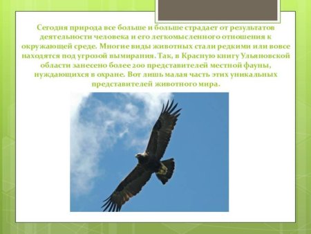 Животные Ульяновской области занесенные в красную