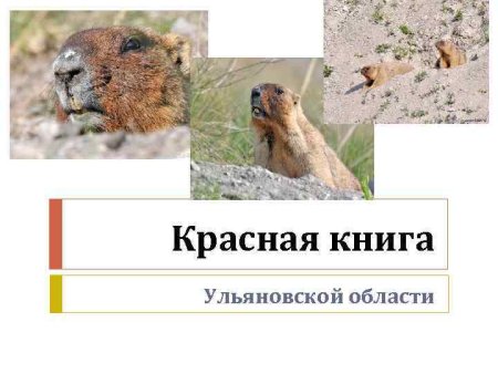 Красная книга Ульяновской области