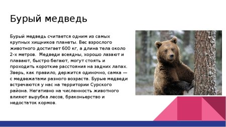 Государственный охотничий заказник «Сосновский»