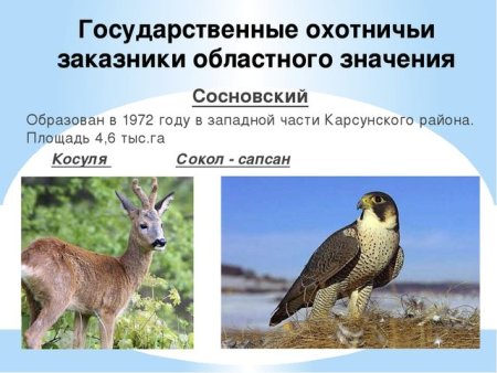 Красная книга Ульяновской области животные и растения
