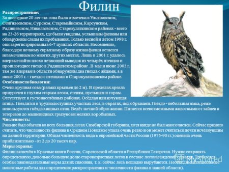 Красная книга Ульяновской области
