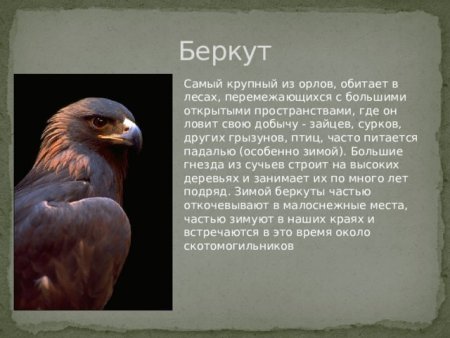Рисунок на тему природа