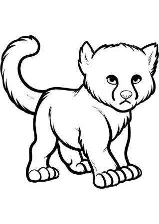 Раскраска хищники животные