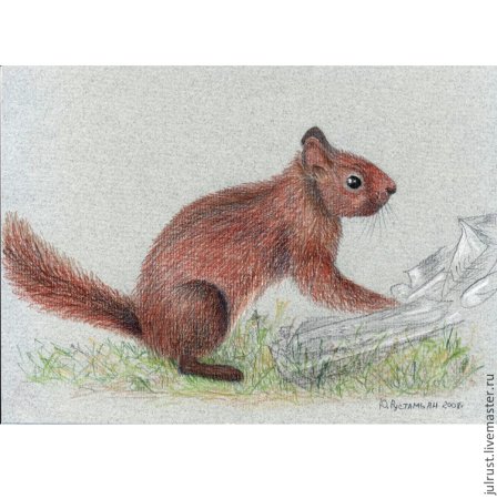 Животные Урала