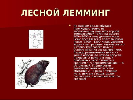 Красная книга Урала животные Свердловской области