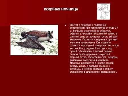 Карта зверей Свердловской области