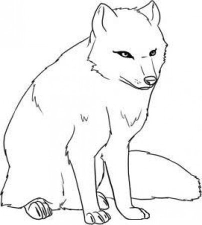 Песец для рисования