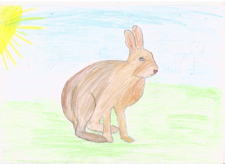 25 Лет парку Угра