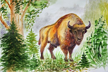 Путешествие в мир природы рисунок