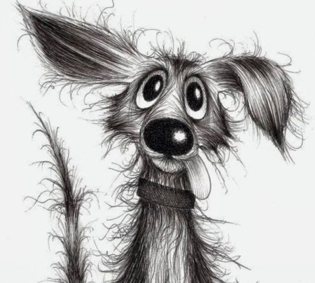 Смешные животные рисунки карандашом