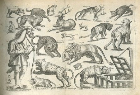 Гравюры средневековья бестиарии