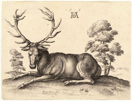 Альбрехт Дюрер анималистика