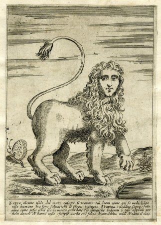 Бестиарий Марко поло