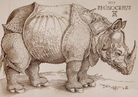 Альбрехт Дюрер носорог гравюра