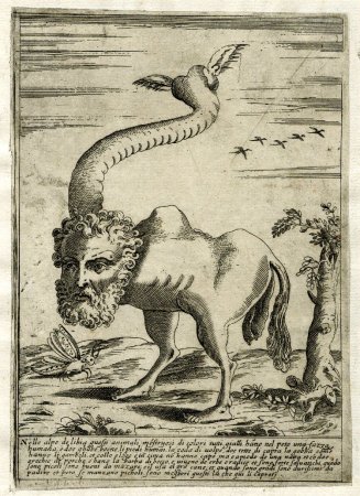 Бестиарий Марко поло