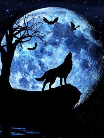 Волк и Луна