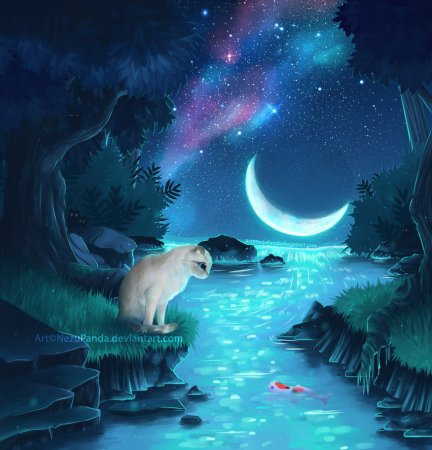 Животные ночью