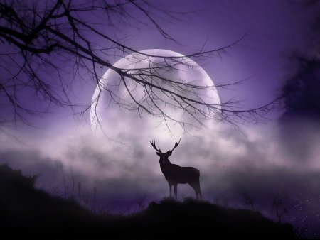 Олень в тумане