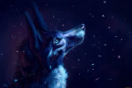 Волк в ночи