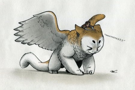 Котосова фурри