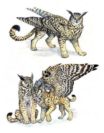 Рисунки скрещенных животных