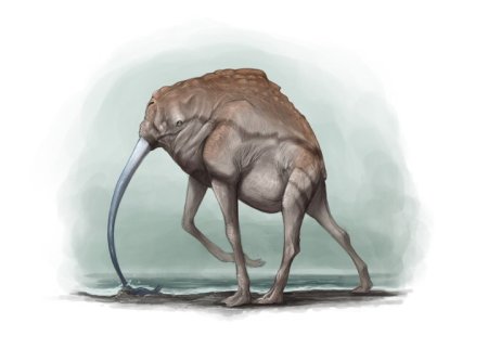 Придуманные существа