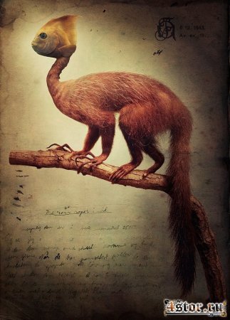 Несуществующее существо