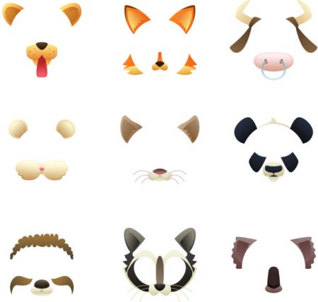 Уши разных животных