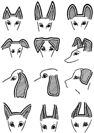 Собачьи ушки