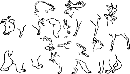 Дикие животные задания для детей