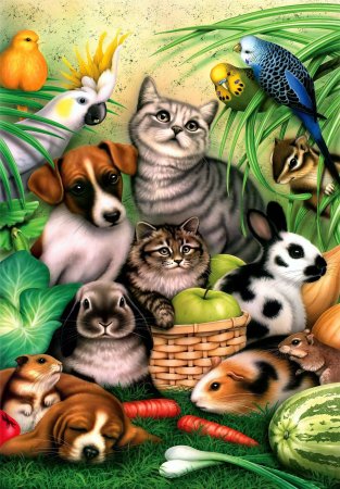 Домашними питомцами