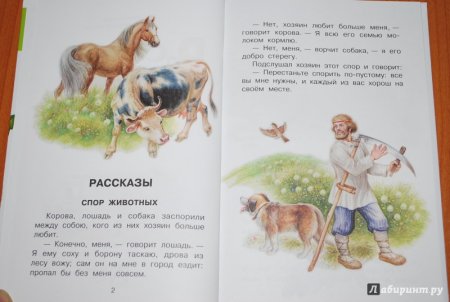 Ушинский бодливая корова