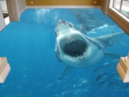 Наливной пол акула