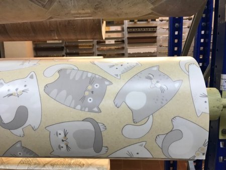 Линолеум Таркетт Kitty 1