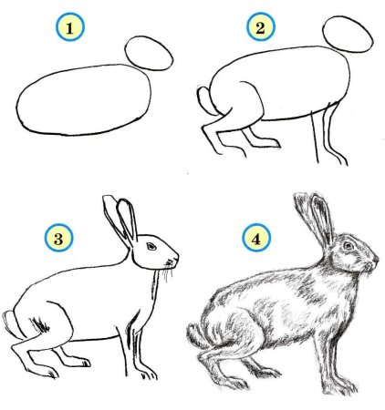 Схемы рисования животных для детей