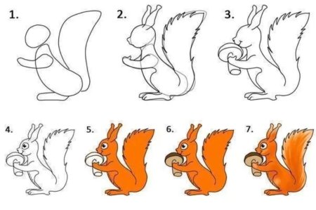 Белка этапы рисования