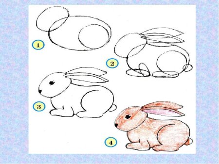 Рисование диких животных