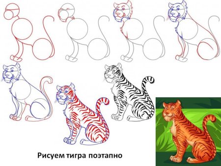 Рисунок тигра пошагово