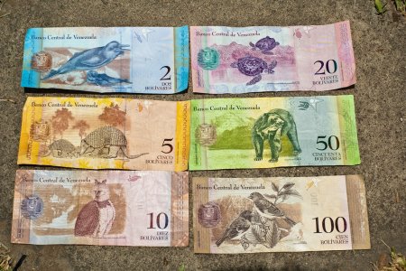 Японские купюры с сиба ину