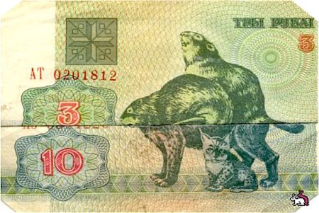 Собака с деньгами